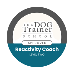 Dog Trainer - Reactivity Coach