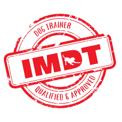 IMDT